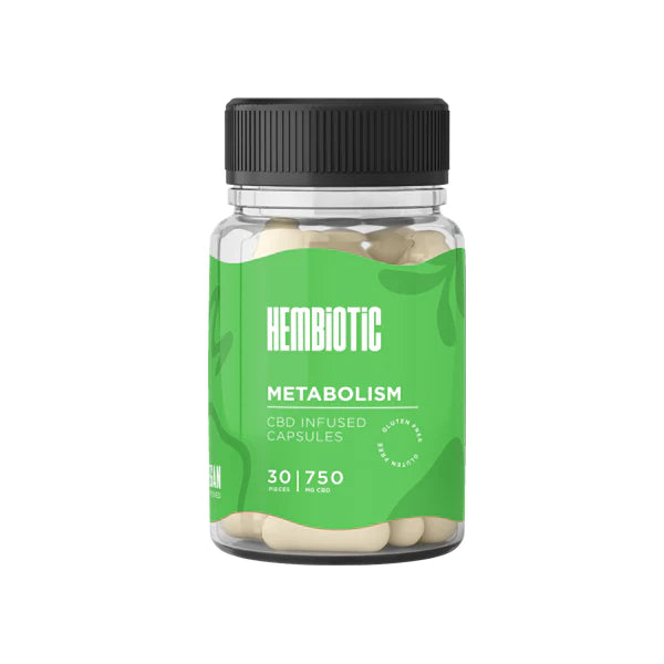240398417.webp