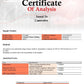 240400304.webp