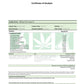 240406853.webp