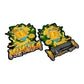 240406903.webp