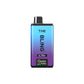 240409800.webp