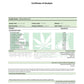 240410733.webp